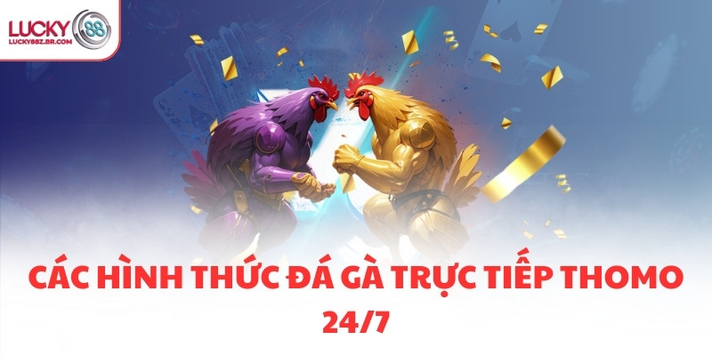 Các hình thức đá gà trực tiếp thomo 24/7