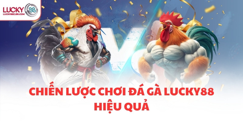 Chiến lược chơi đá gà LUCKY88 hiệu quả