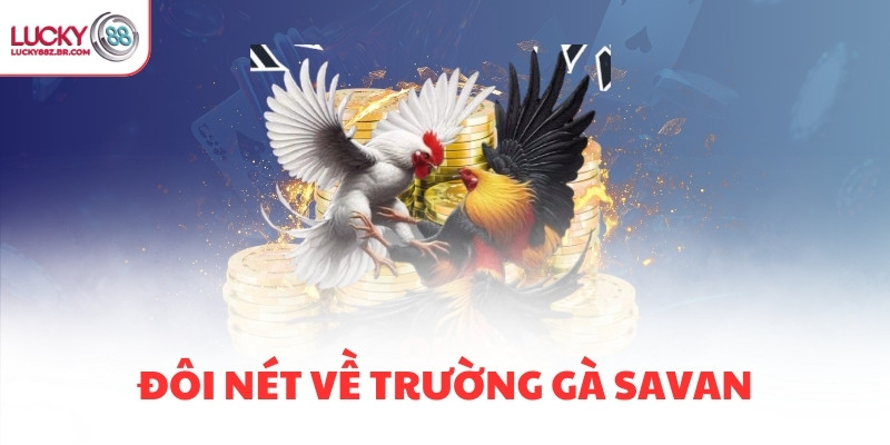 Đôi nét về trường gà Savan