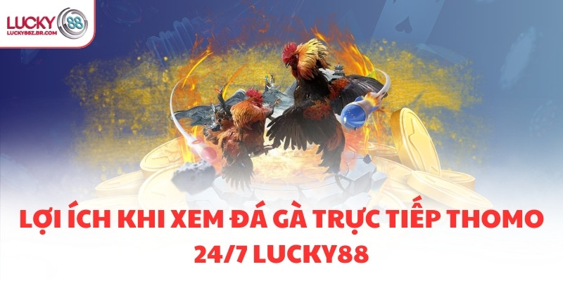 Lợi ích khi xem đá gà trực tiếp thomo 24/7 LUCKY88