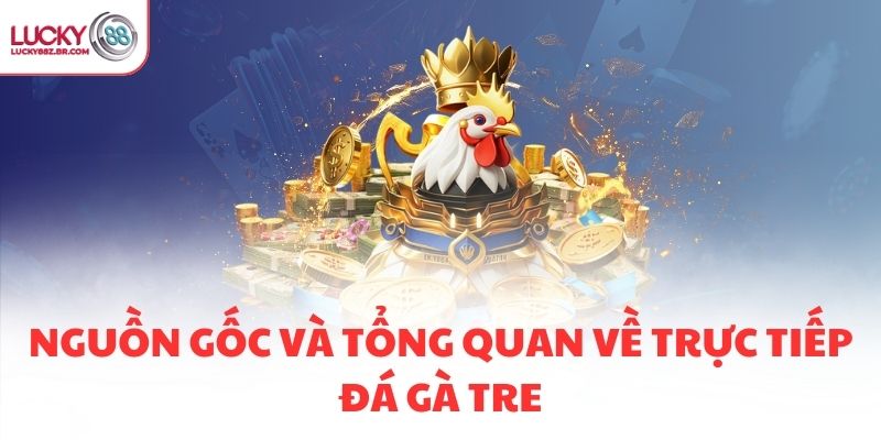 Nguồn gốc và tổng quan về trực tiếp đá gà tre