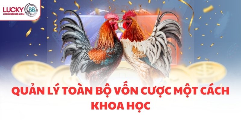 Quản lý toàn bộ vốn cược một cách khoa học