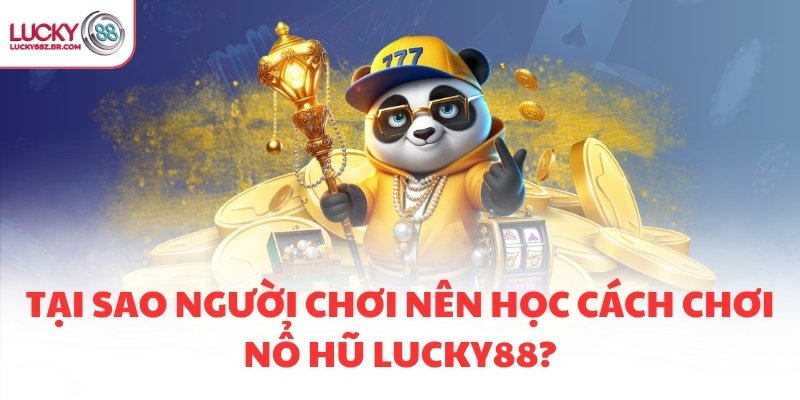 Tại sao người chơi nên học cách chơi nổ hũ LUCKY88?