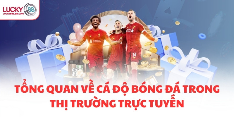 Tổng quan về cá độ bóng đá trong thị trường trực tuyến