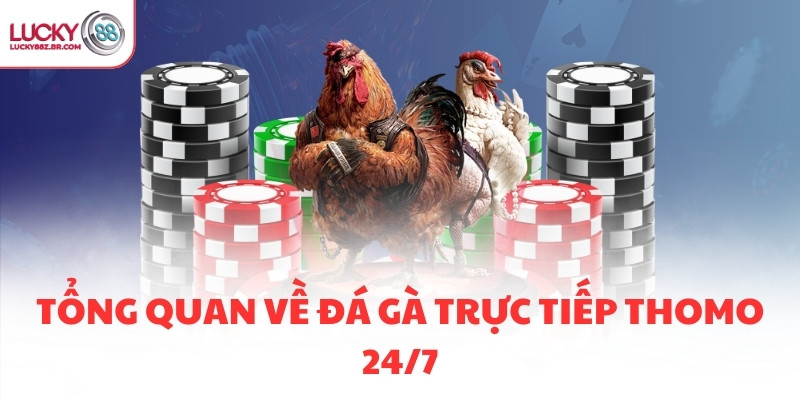 Tổng quan về đá gà trực tiếp thomo 24/7